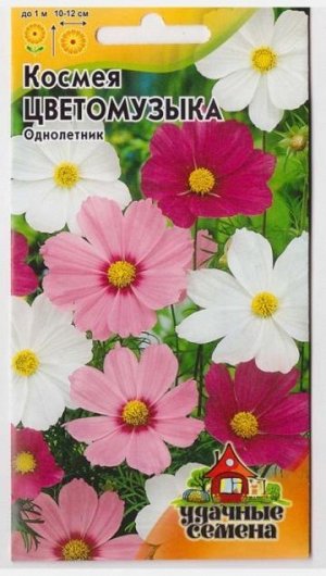 Космея Цветомузыка (Код: 16386)
