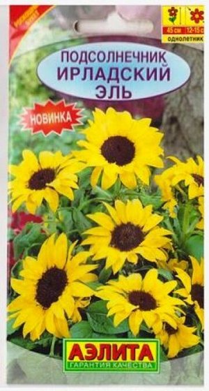 Подсолнечник Ирландский Эль (Код: 79862)