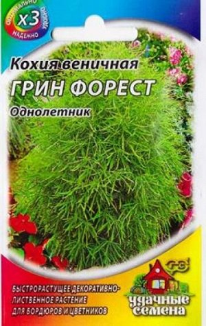 Кохия Грин Форест (Код: 519)