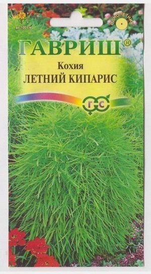 Кохия Летний Кипарис (Код: 3477)