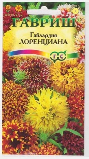 Гайлардия Лоренциана (Код: 10781)