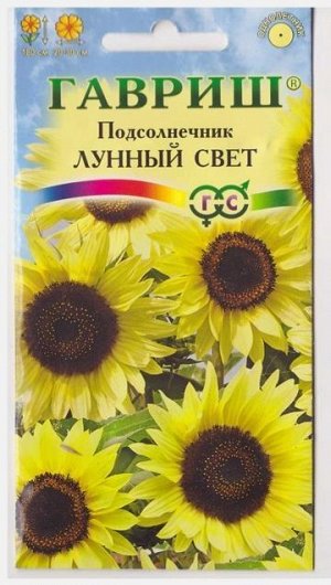 Подсолнечник Лунный свет (Код: 14533)