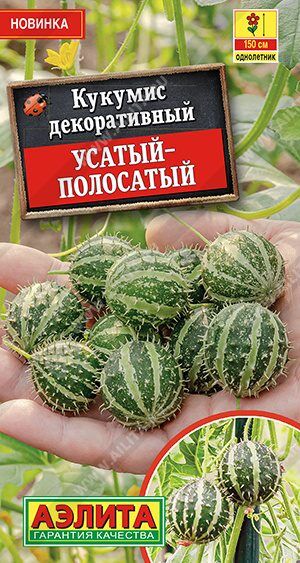 Кукумис декоративный Усатый-полосатый (Код: 89534)