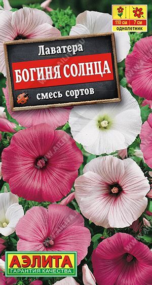 Лаватера Богиня солнца (Код: 12321)