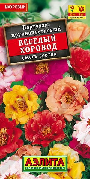 Портулак Веселый хоровод (Код: 10699)