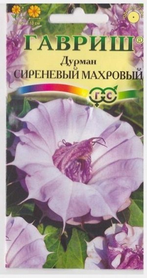 Дурман Сиреневый махровый (Код: 14232)