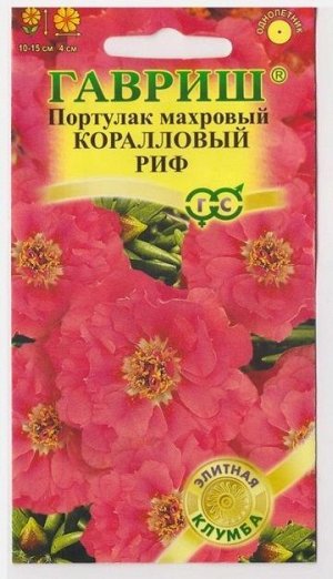 Портулак Коралловый риф (Код: 13940)