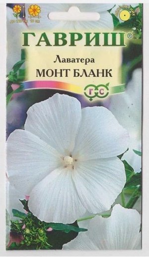 Лаватера Монт Бланк (Код: 10921)