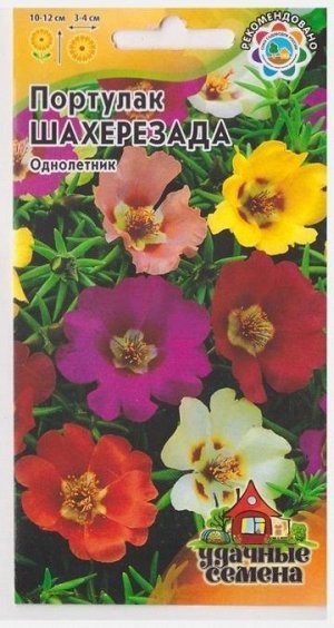 Портулак Шахерезада Смесь (Код: 68307)