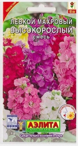 Левкой Высокорослый махровый смесь (Код: 68944)