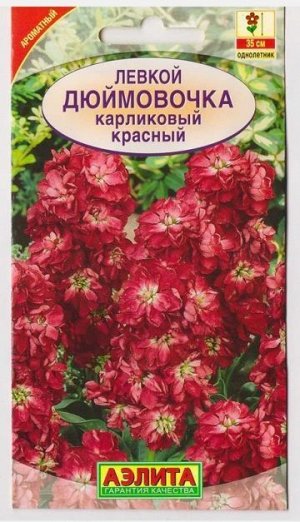 Левкой Дюймовочка красный (Код: 73349)