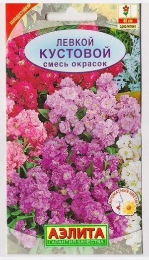 Левкой Кустовой смесь (Код: 68945)