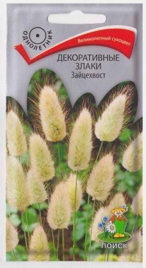 Зайцехвост Декоративные злаки (Код: 4627)