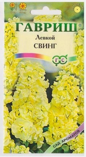 Левкой Свинг (Код: 10314)