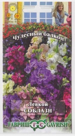 Левкой Соблазн (Код: 16354)