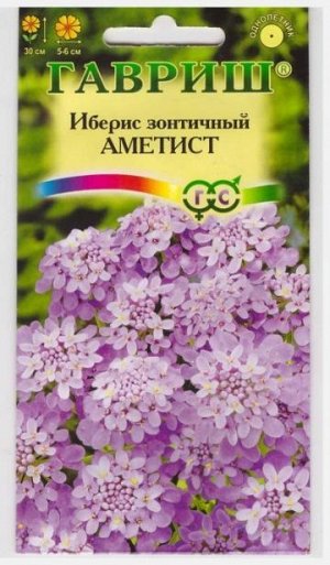 Иберис Аметист (Код: 70955)