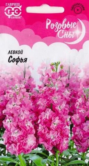 Левкой Софья (Код: 85675)