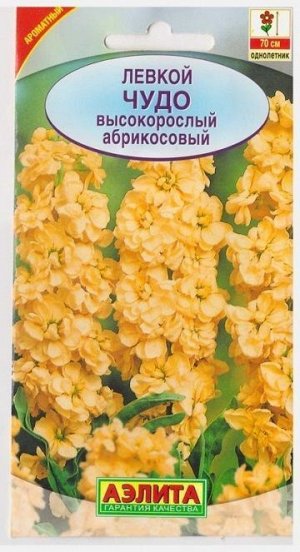 Левкой Чудо абрикосовый (Код: 73343)