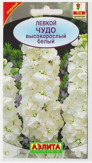Левкой Чудо белый (Код: 73344)