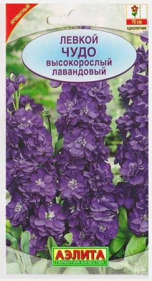 Левкой Чудо лавандовый (Код: 73346)