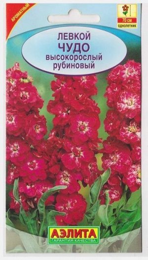 Левкой Чудо рубиновый (Код: 73347)