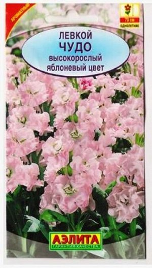 Левкой Чудо яблоневый цвет (Код: 79847)