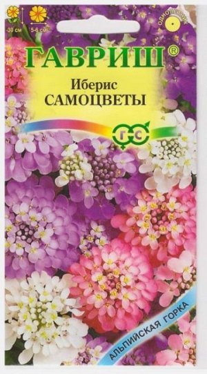 Иберис Самоцветы (Код: 12503)