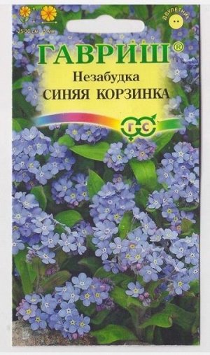 Незабудка Синяя корзинка (Код: 3317)