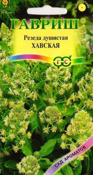 Резеда Хавская душистая (Код: 6311)