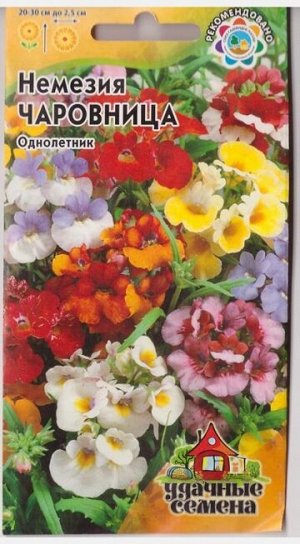 Немезия Чаровница смесь (Код: 5166)