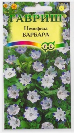 Немофила Барбара пятнистая (Код: 11326)