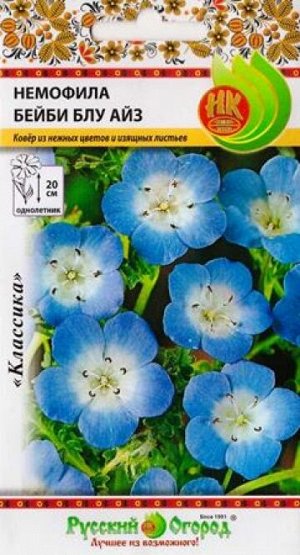 Немофила Бейби блу Айз (Код: 2215)