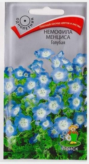 Немофила Голубая менциса (Код: 66916)