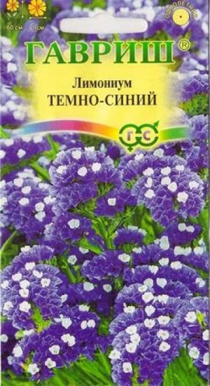 Лимониум Темно-синий (Код: 9554)