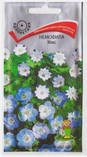 Немофила Микс (Код: 4504)