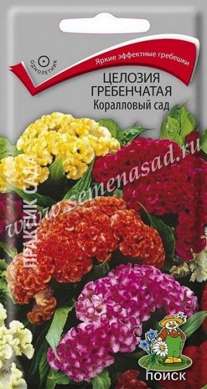 Целозия Гребенчатая Коралловый сад (Код: 66002)