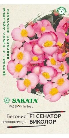 Бегония Сенатор Биколор F1 (Код: 88362)