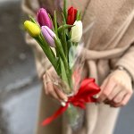 5шт тюльпанов