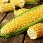 Кукуруза Кубанская Консервная 148 сахарная, среднеранняя 4гр Седек