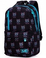 Рюкзак SkyName 77-16