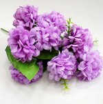 Хризантема волнистая