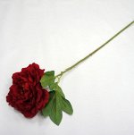 Цветок Пиона, одиночный