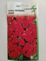 Флокс Промис, алый