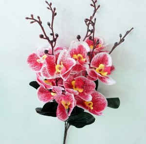 Букет орхидеи, в ассортименте