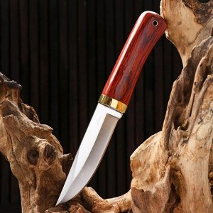 Нож охотничий "Алвар" 24,5см, клинок 130мм/3мм, коричневый