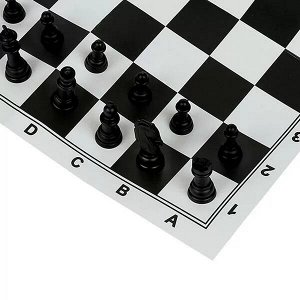 4630115527428 (30) Настольная игра Шахматы и шашки 2-в-1 в пакете с хэдером малого формата. Умные игры в кор.30шт