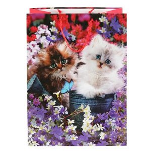 CLRBG-CATS-03 Пакет подарочный глянцевый котята 33*46*20см в пак. Играем вместе уп-12шт в кор.6уп