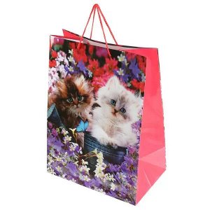 CLRBG-CATS-03 Пакет подарочный глянцевый котята 33*46*20см в пак. Играем вместе уп-12шт в кор.6уп