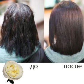 Филлер для восстановления волос с Коллагеном FarmStay Collagen Water Full Moist Treatment Hair Filler, 13мл*10шт