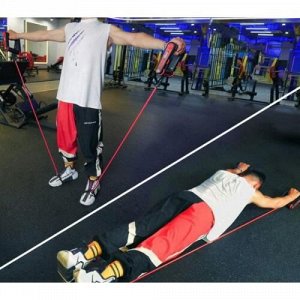 Роллеры для фитнеса и спорта Lutino Wheel rollers push up Bars Workout оптом